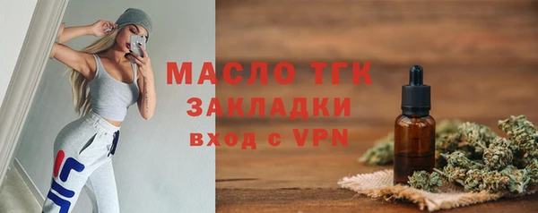 стаф Пересвет
