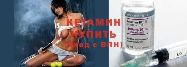 стаф Пересвет