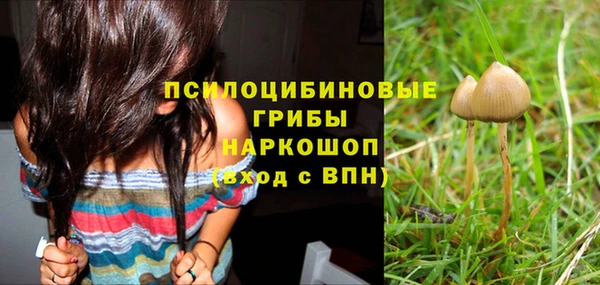 прущий лед Осташков