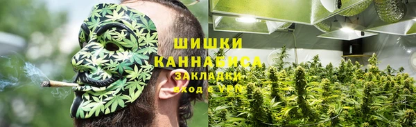 стаф Пересвет