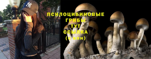 каннабис Осинники