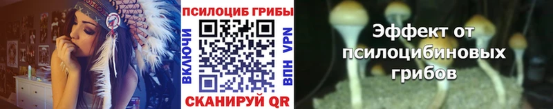 блэк спрут онион  Бежецк  Галлюциногенные грибы MAGIC MUSHROOMS 